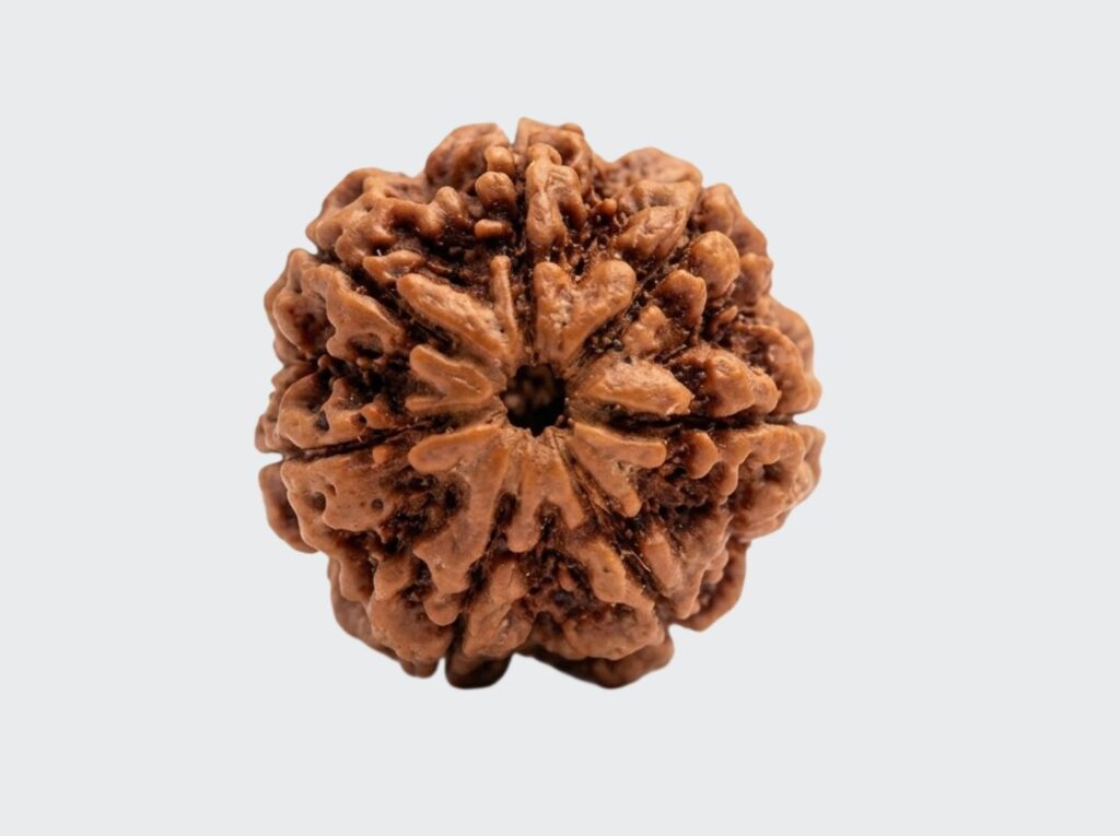 certified rudraksha Nepali