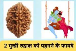 2 Mukhi Rudraksha
