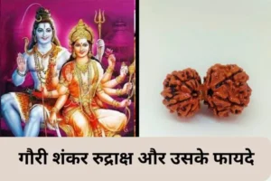 Gauri Shankar Rudraksha