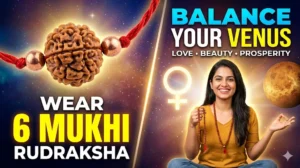 balance your venus with 6 mukhi rudraksha