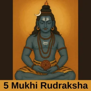 पांच मुखी रुद्राक्ष और उसके पहनने के लाभ