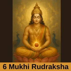 6 Mukhi Rudraksha Aur uske Fayde