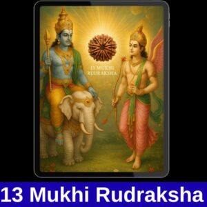 13 Mukhi rudraksha ke labh