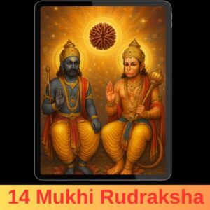 14 मुखी रुद्राक्ष पहनने के फायदे