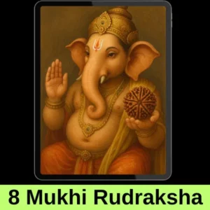 8 mukhi rudraksha