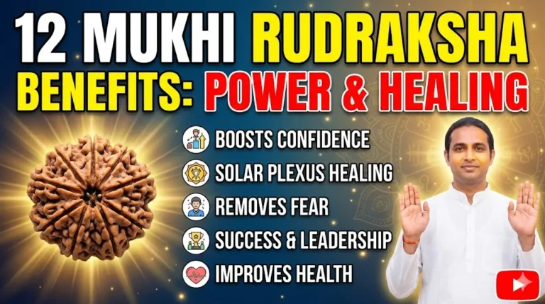 benefits of wearing 12 mukhi rudrakasha