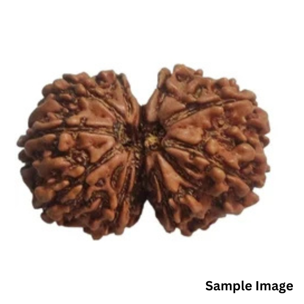 Gaurishankar Rudraksha Nepali
