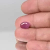 4.73 Carats Ruby ( 5.26 Ratti Manik )