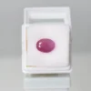 4.73 Carats Ruby ( 5.26 Ratti Manik )