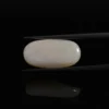 4.95 Carats Natural Australian Opal (5.5 Ratti)