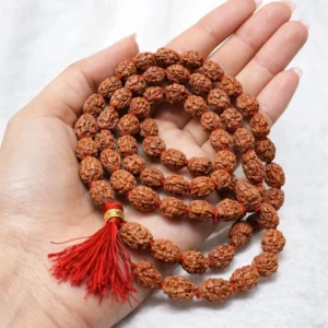 Natural 2 Mukhi Rudraksha Mala (108 Beads)