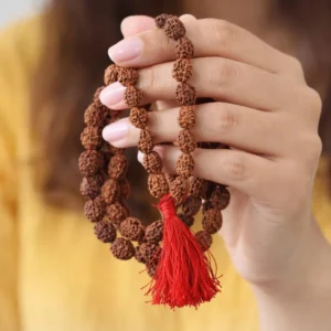 Natural 4 Mukhi Rudraksha Mala