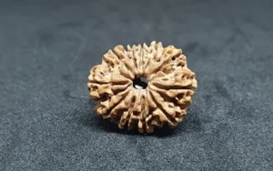 11 Mukhi Nepali Rudraksha – Benefits
