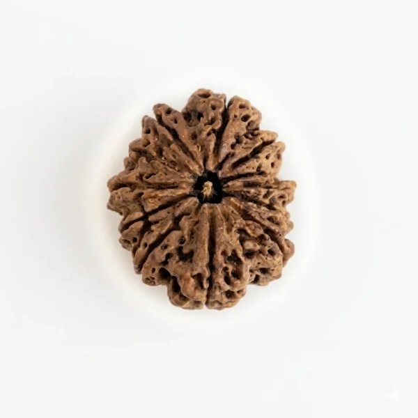 genrate a high resolution image of this image for ecom listing but use more background from all side and image should be in center with more space around