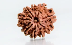 9 Mukhi Rudraksha – Power of Goddess Durga
