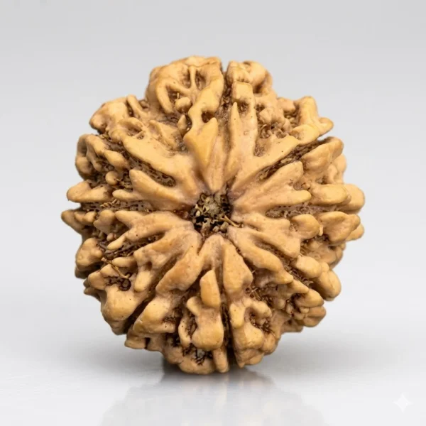 9 Mukhi Rudraksha – Power of Goddess Durga
