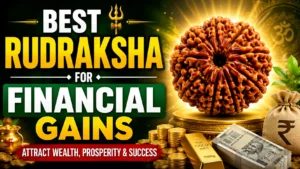 best rudraksha for financial gains