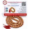Natural 6 Mukhi Rudraksha Mala (108 Beads)