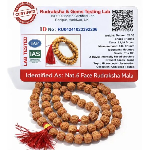 Natural 6 Mukhi Rudraksha Mala (108 Beads)