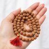 Natural 6 Mukhi Rudraksha Mala (108 Beads)