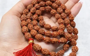 White-Organic-Gradients-Professional-Service-Graphic-Design-Instagram-Post-2.webp Natural 2 Mukhi Rudraksha Mala (108 Beads)
