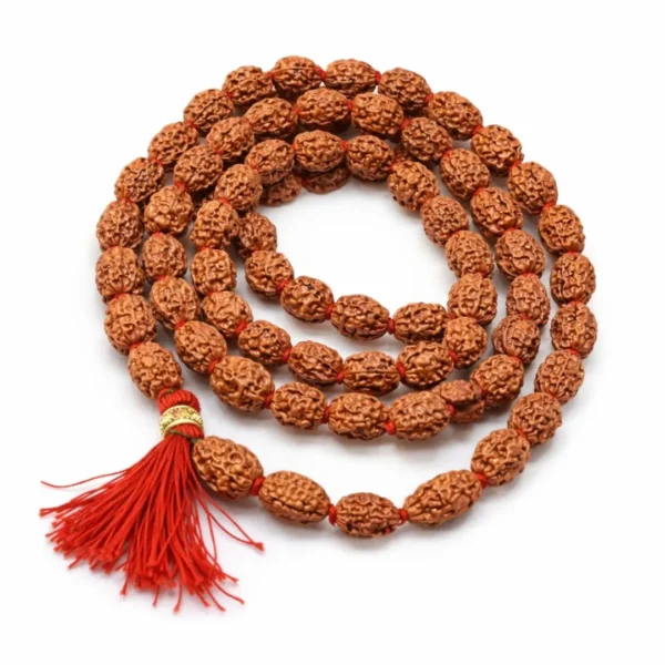 Natural 2 Mukhi Rudraksha Mala (108 Beads)