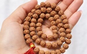 White-Organic-Gradients-Professional-Service-Graphic-Design-Instagram-Post.jpg Natural 6 Mukhi Rudraksha Mala (108 Beads)