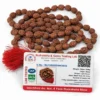 White-Organic-Gradients-Professional-Service-Graphic-Design-Instagram-Post-4.webp Natural 4 Mukhi Rudraksha Mala