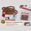 White-Organic-Gradients-Professional-Service-Graphic-Design-Instagram-Post-5.webp Natural 4 Mukhi Rudraksha Mala