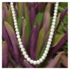 cover-img-1L-13.webp Authentic Pearl Mala Necklace – Original Moti with Lab Certificate