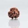 orginal-3-mukhi-rudraksha-2.jpg 3 Mukhi Rudraksha Nepali