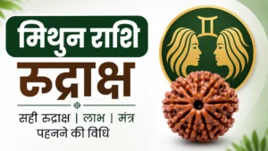 Mithun Rashi ke liye rudraksha
