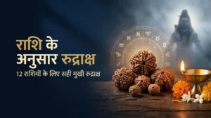 राशि के अनुसार रुद्राक्ष और 12 राशियों के लिए मुखी रुद्राक्ष की जानकारी
